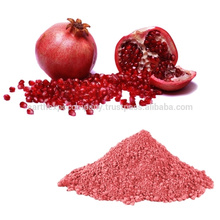 Pomegranate fruit juice powder supplier